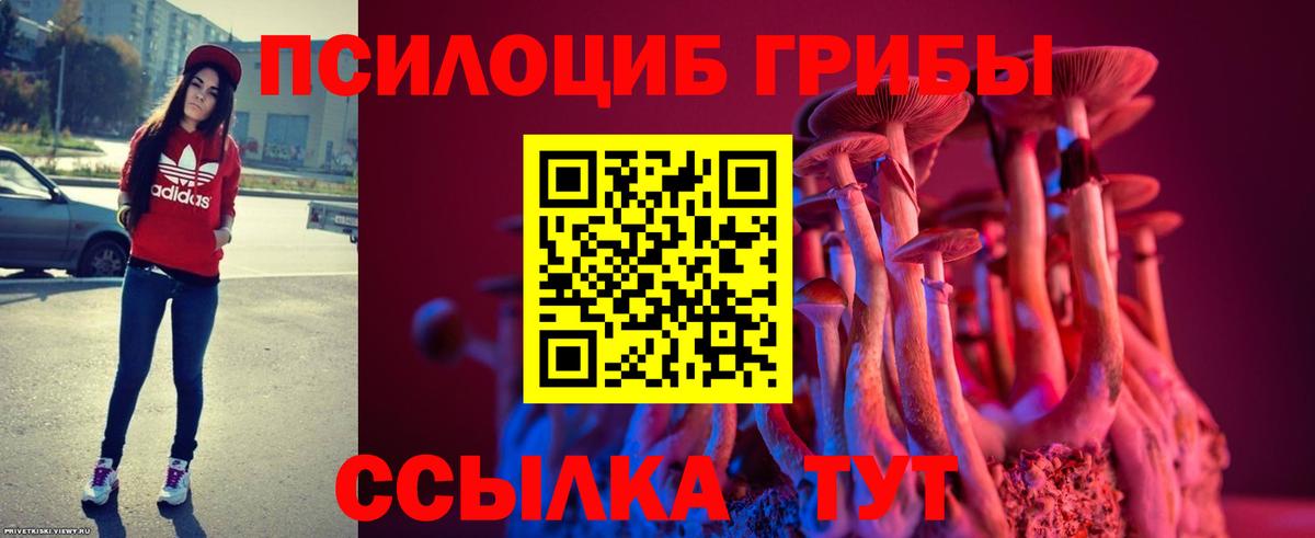 Псилоцибиновые грибы прущие грибы Казань